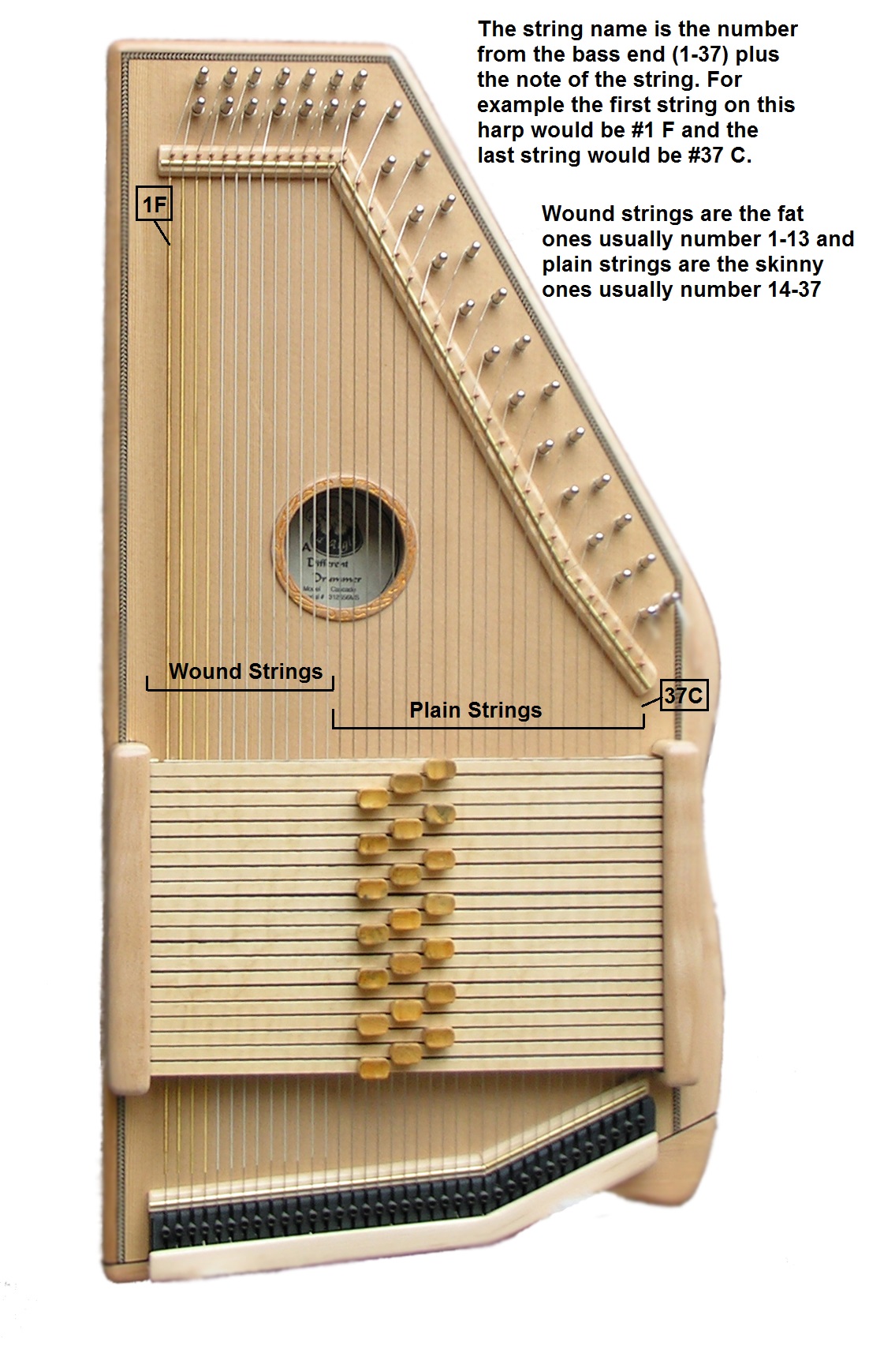 Autoharp Chord Chart